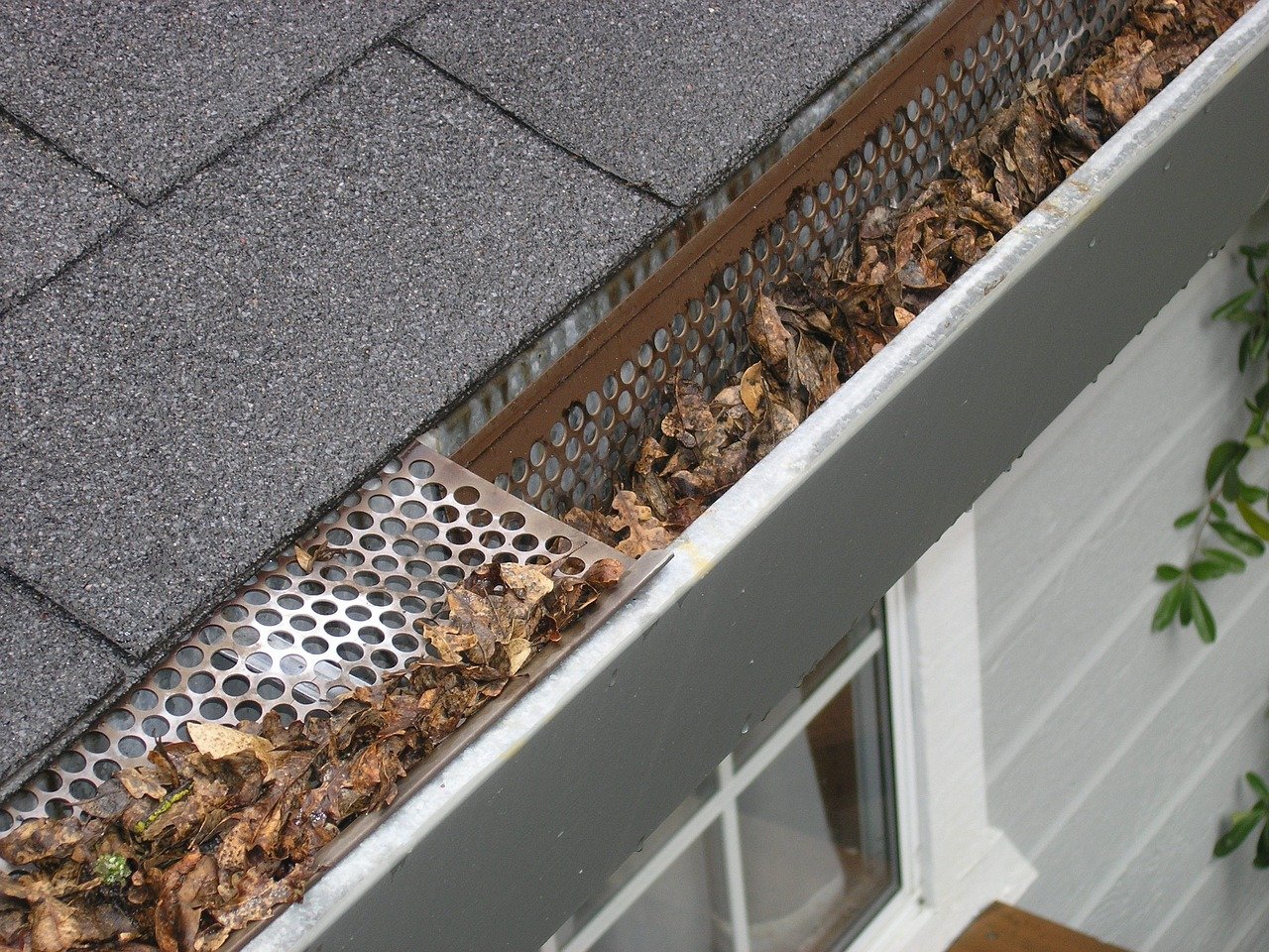 Gutter cleaning in South Florida