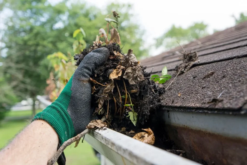 Gutter cleaning in Orange County, FL